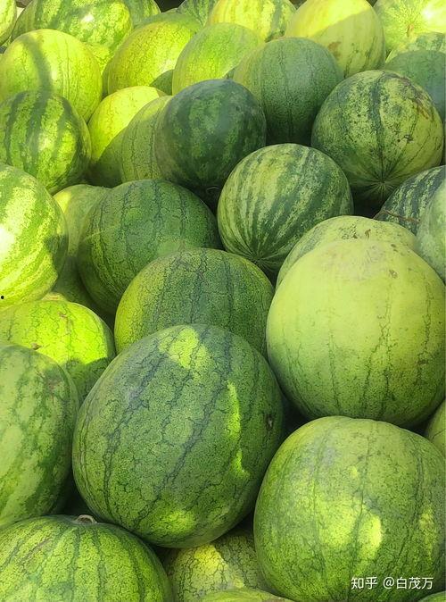 现现吃瓜,现现吃瓜,一窥明星幕后生活 第2张 现现吃瓜,现现吃瓜,一窥明星幕后生活 第2张